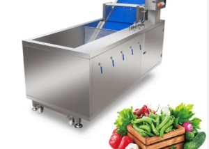 Automatic Ultrasonic Ozone Bubble Washer Vegetable Washing Cleaning Machine BET-X200