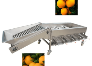 Customized Fruit Grading Machinery Vegetable Grade Size Sorting Machine