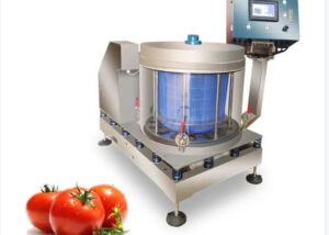 Industrial Food Processing Vegetable Fruit Dehydrator Vegetable Drying Machine BET-T12