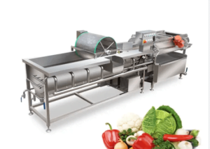 Industrial Ozone Bubble Vegetable Fruit Washer(BET-X680D)
