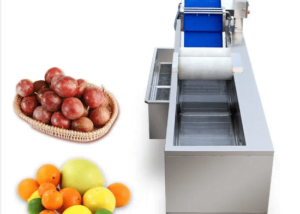 Ozone Sterilization Bubble Brush Cleaning Vegetable Fruit Washing Machine